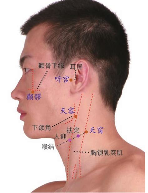 八穴|八髎穴针灸定位